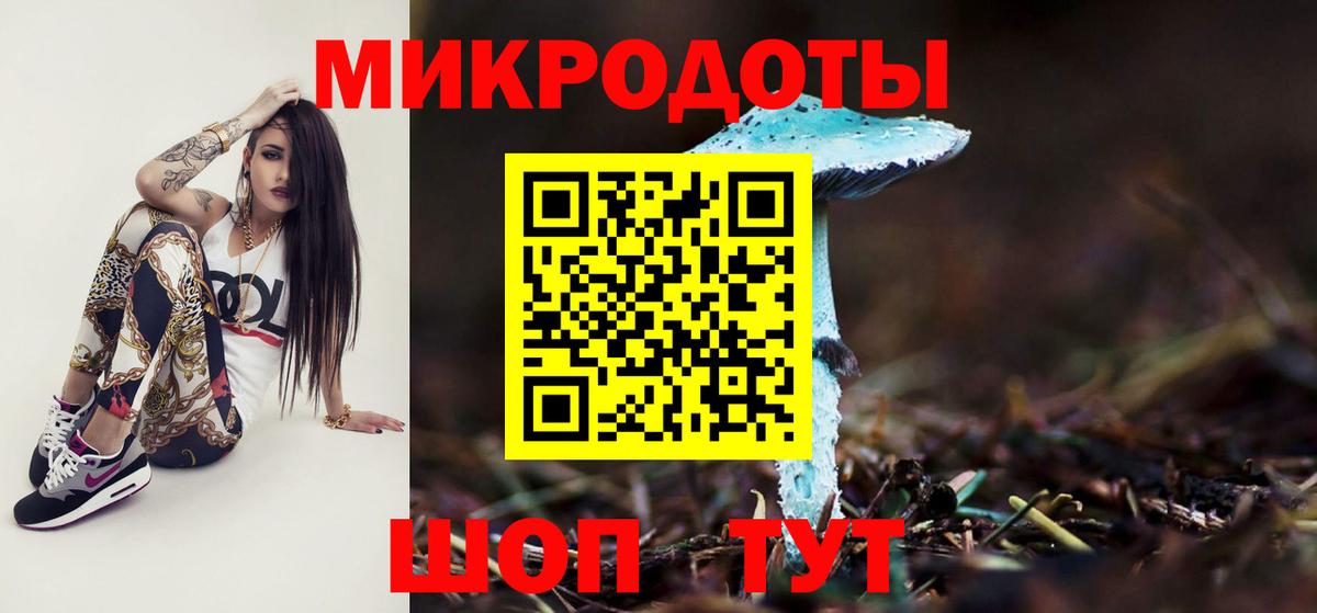 Псилоцибиновые грибы Psilocybine cubensis Мичуринск